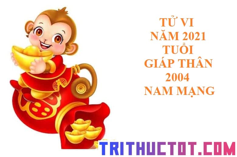 Tử vi năm 2021 tuổi tuổi Giáp Thân 2004 Nam mạng - TRI ...